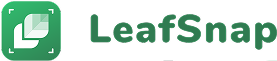 leafsnap